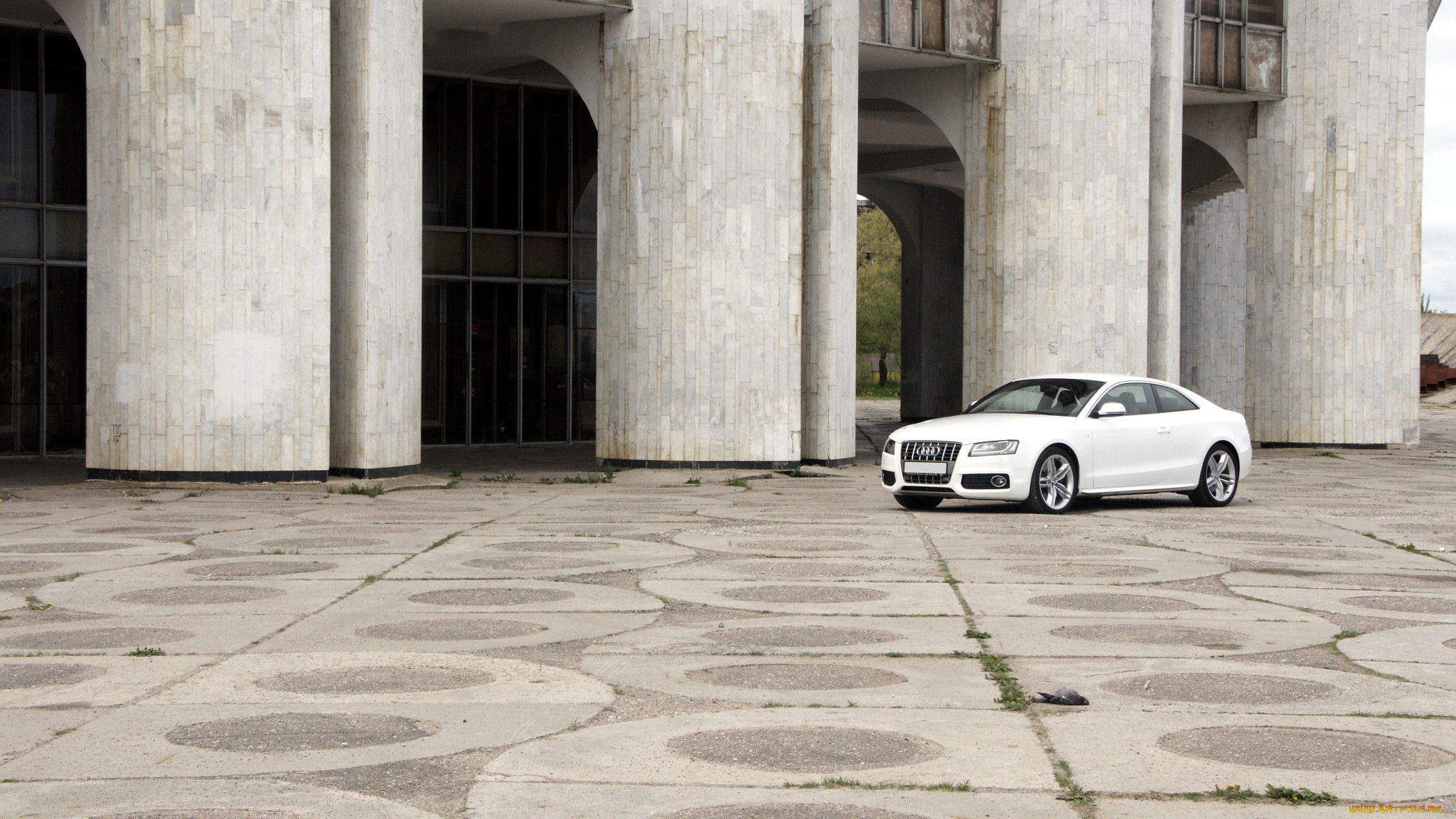 audi, a5, , , volkswagen, group